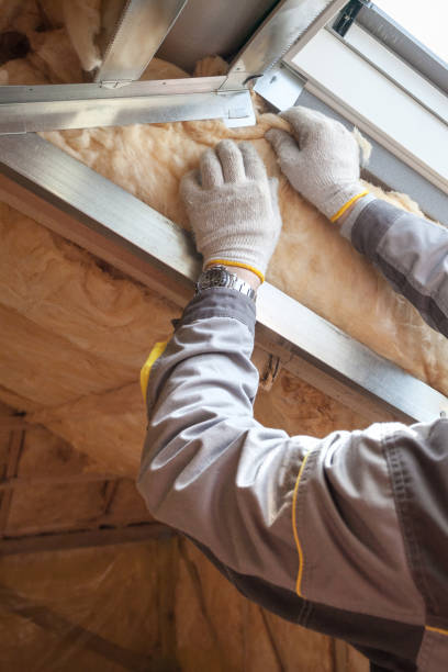 Best Insulation Materials and Products in Zwolle, LA