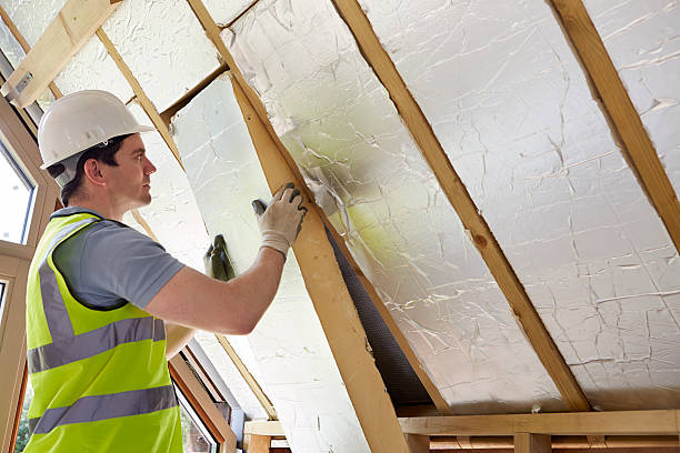 Best Residential Insulation in Zwolle, LA